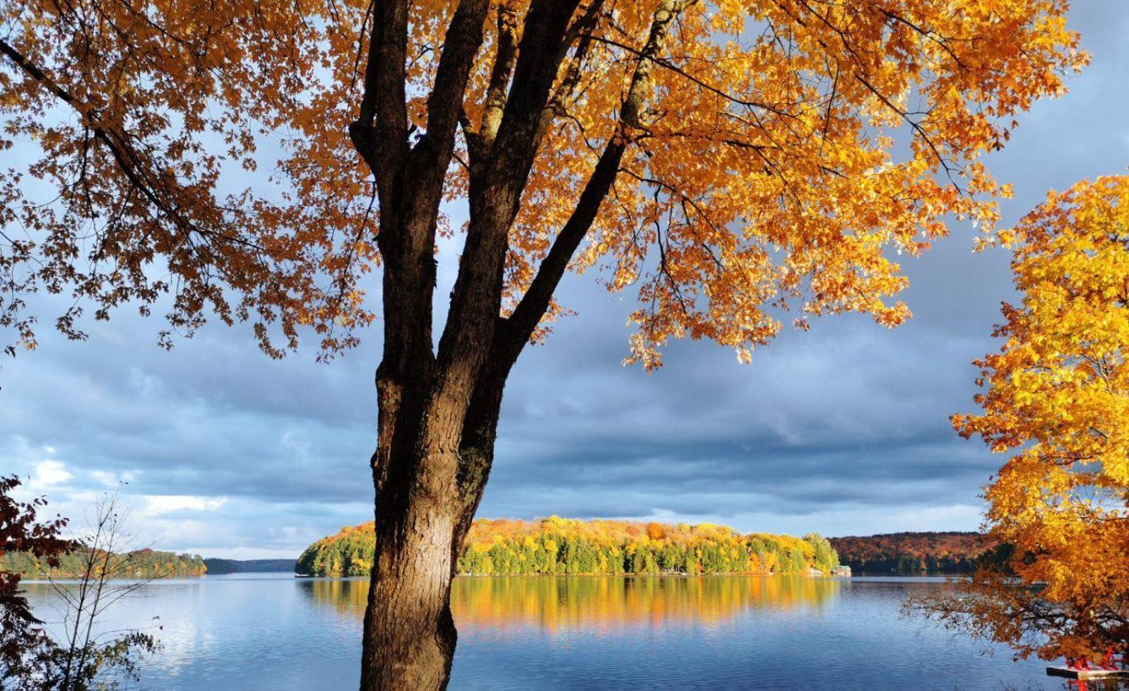Muskoka Escape Ξενοδοχείο Port Carling Εξωτερικό φωτογραφία