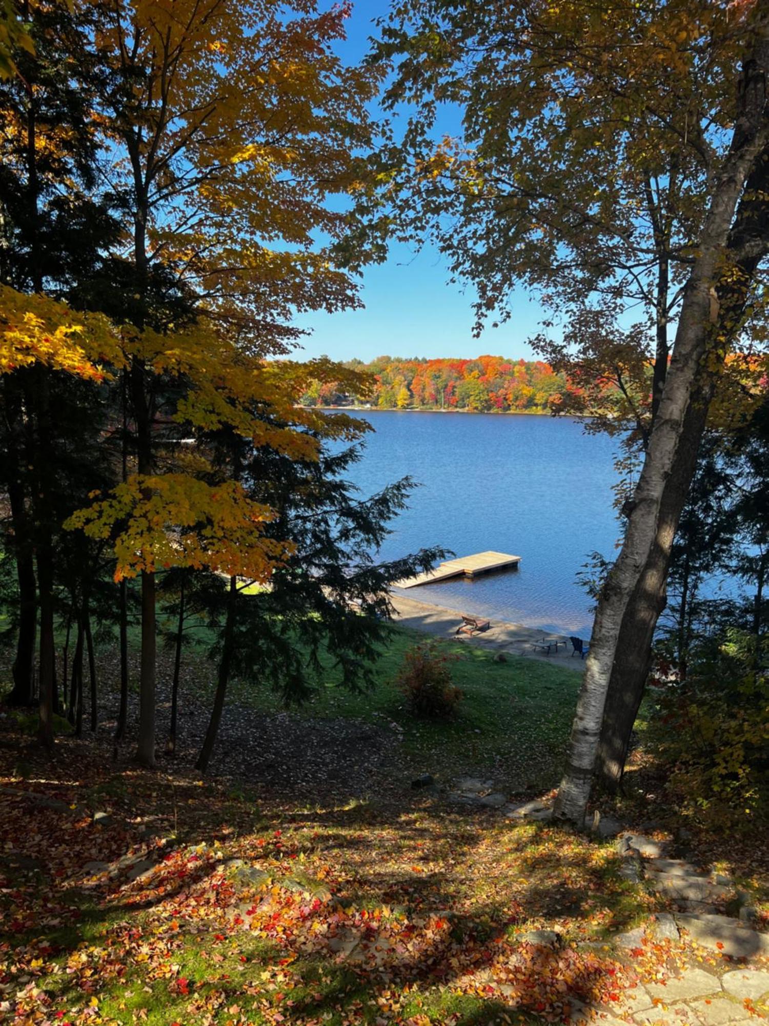 Muskoka Escape Ξενοδοχείο Port Carling Εξωτερικό φωτογραφία
